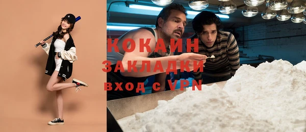 прущие грибы Аркадак
