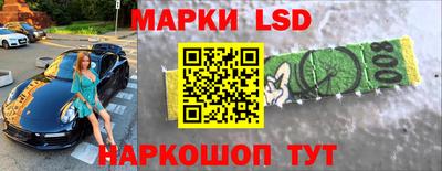 прущие грибы Камышлов