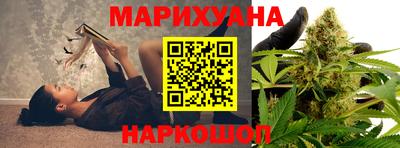 прущие грибы Камышлов
