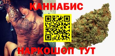 прущие грибы Камышлов