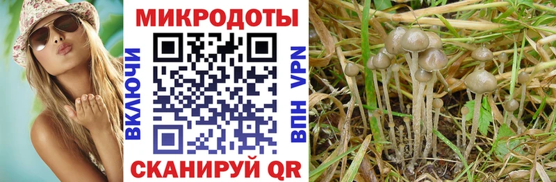 наркотики  мега tor  Галлюциногенные грибы прущие грибы  Майкоп 