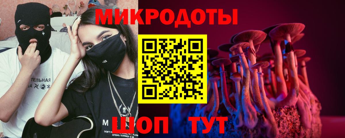 Псилоцибиновые грибы ЛСД  Вход с VPN  Майкоп  Псилоцибиновые грибы мицелий 