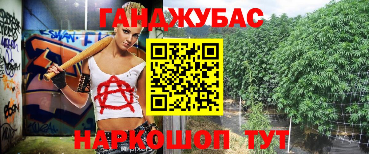 Канабис конопля Майкоп